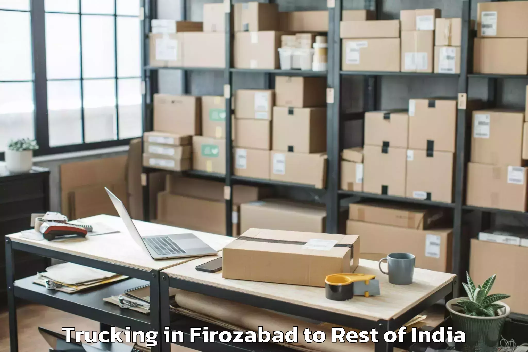 Efficient Firozabad to Bashohli Trucking